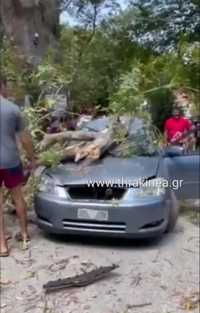 Βίντεο: Οι συγκλονιστικές στιγμές όπου οι τουρίστες της Σαμοθράκης σπεύδουν για να απομακρύνουν κλαδιά που έπεσαν σε αυτοκίνητο