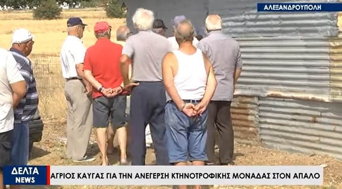 Έπαιξαν ξύλο μπροστά στην τηλεοπτική κάμερα