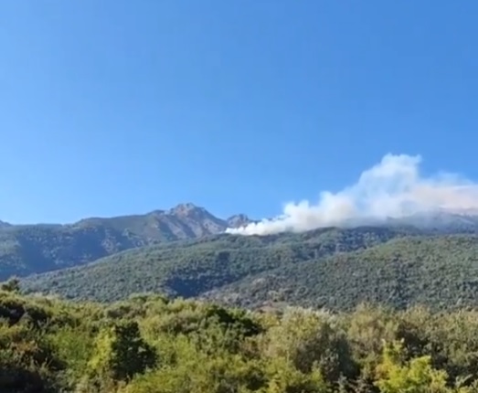 Υπό έλεγχο οι πυρκαγιές σε Σαμοθράκη και Αμόριο