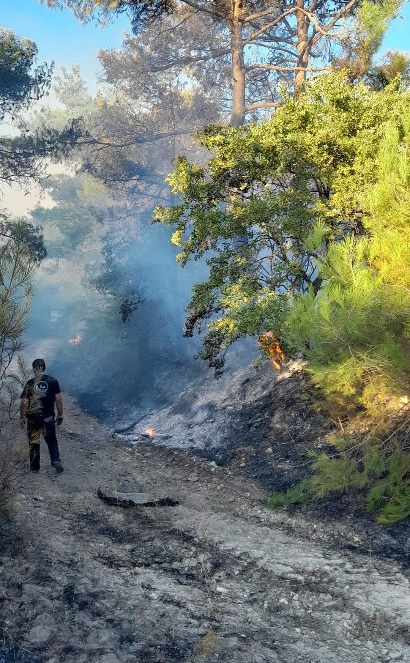 Ένα περίπου στρέμμα κάηκε στη Λευκίμη