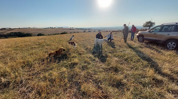 Έλεγχοι σε κτηνοτροφικές ομάδες από κλιμάκιο του δήμου Αλεξανδρούπολης για τη διαχείριση των αδέσποτων και δεσποζόμενων ζώων συντροφιάς
