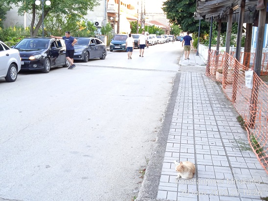 Μεγάλες ουρές στο τελωνείο Καστανεών