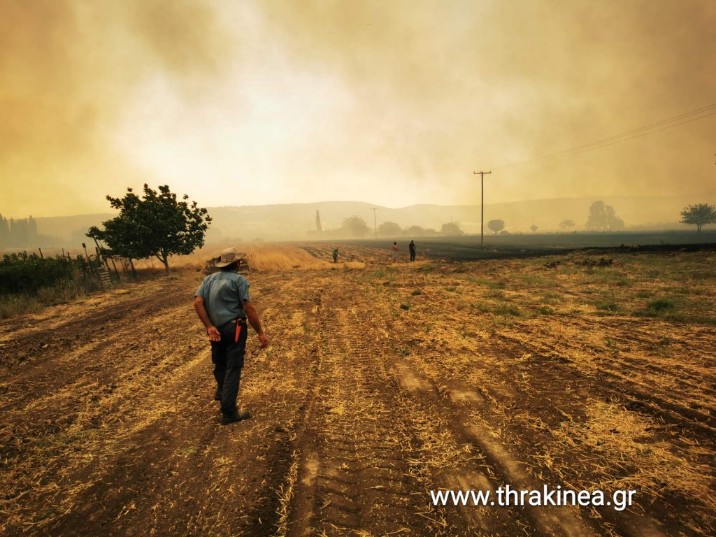 Τα βήματα για τη διαδικασία αποζημίωσης για επιχειρήσεις και αγροτικές εκμεταλλεύσεις οι οποίες επλήγησαν από τις πυρκαγιές