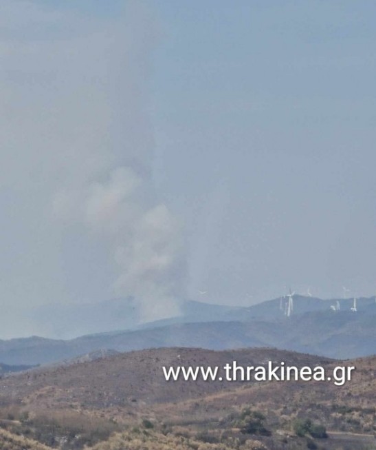 Πυροσβέστες και από την Κρήτη στον Έβρο