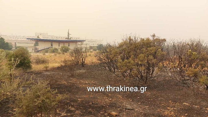 Συνεργασία Π.Α.Μ.Θ και Φορέων Ψυχικής Υγείας για Ψυχολογική Υποστήριξη των Πληγέντων από τις Πυρκαγιές στη Θράκη