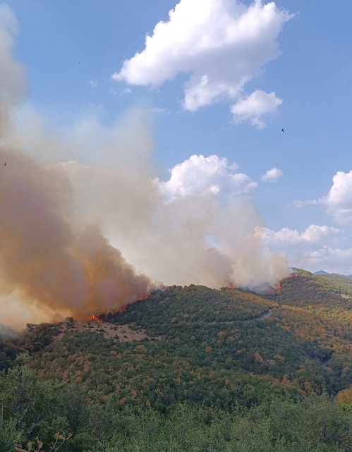 Αναζωπύρωση της φωτιάς στη Γρατινή