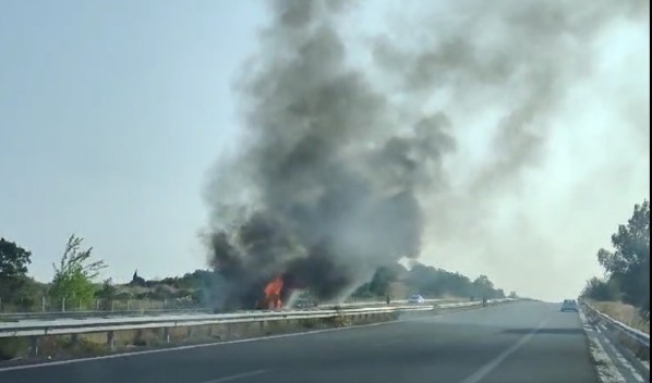 Λαμπάδιασε στην Εγνατία φορτηγό που μετεφερε κορμούς δέντρων