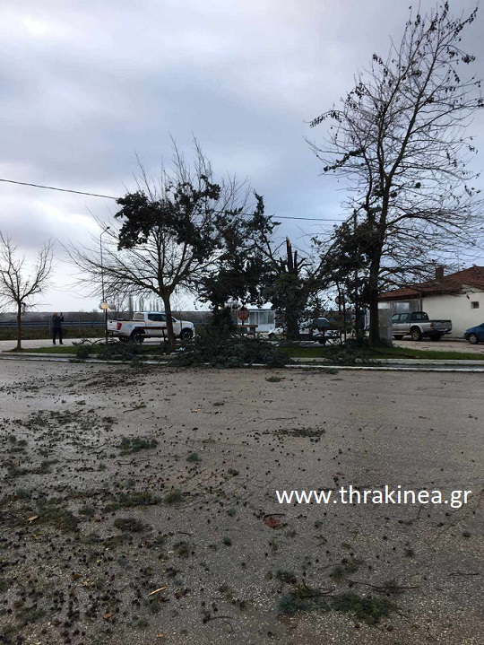 Ζημιές προκάλεσαν ισχυροί άνεμοι στο Αμόριο – Έπεσαν δέντρα