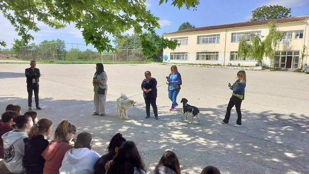 Δράση φιλοζωίας στο 1ο γυμνάσιο Διδυμοτείχου