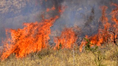 Του έβαλαν πρόστιμο 1.250 ευρώ επειδή έβαλε φωτιά σε δασική έκταση στο Λιβάδι του Δήμου Ξάνθης