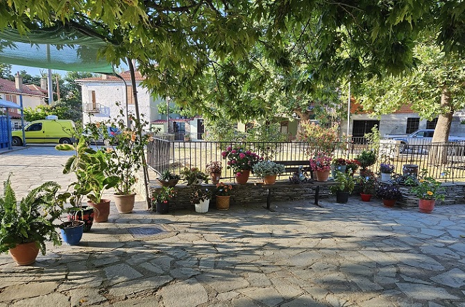 Πάρτε τη γλάστρα σας και ελάτε στη Μαρώνεια