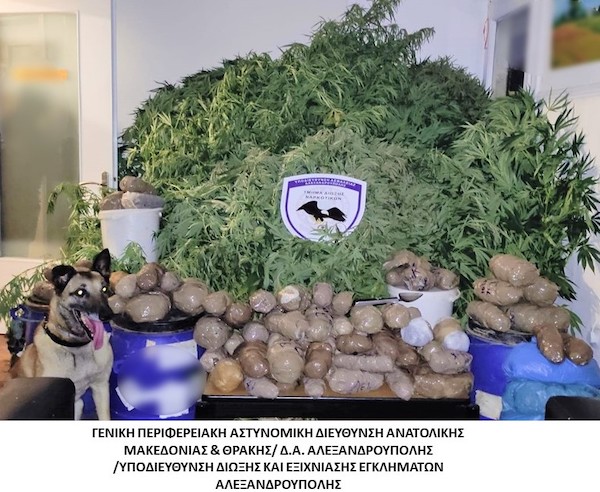 Καλλιεργούσε κάνναβη σε αγρόκτημα στην Αλεξανδρούπολη