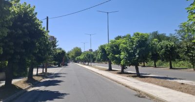 Δήμος Κομοτηνής: εργασίες για τη συντήρηση των χώρων πρασίνου – φωτογραφίες Δήμος Κομοτηνής: εργασίες για τη συντήρηση των χώρων πρασίνου – φωτογραφίες