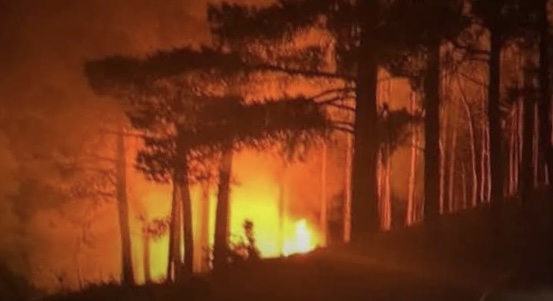 Φωτιά στην Ξάνθη αντιμετώπισε η πυροσβεστική