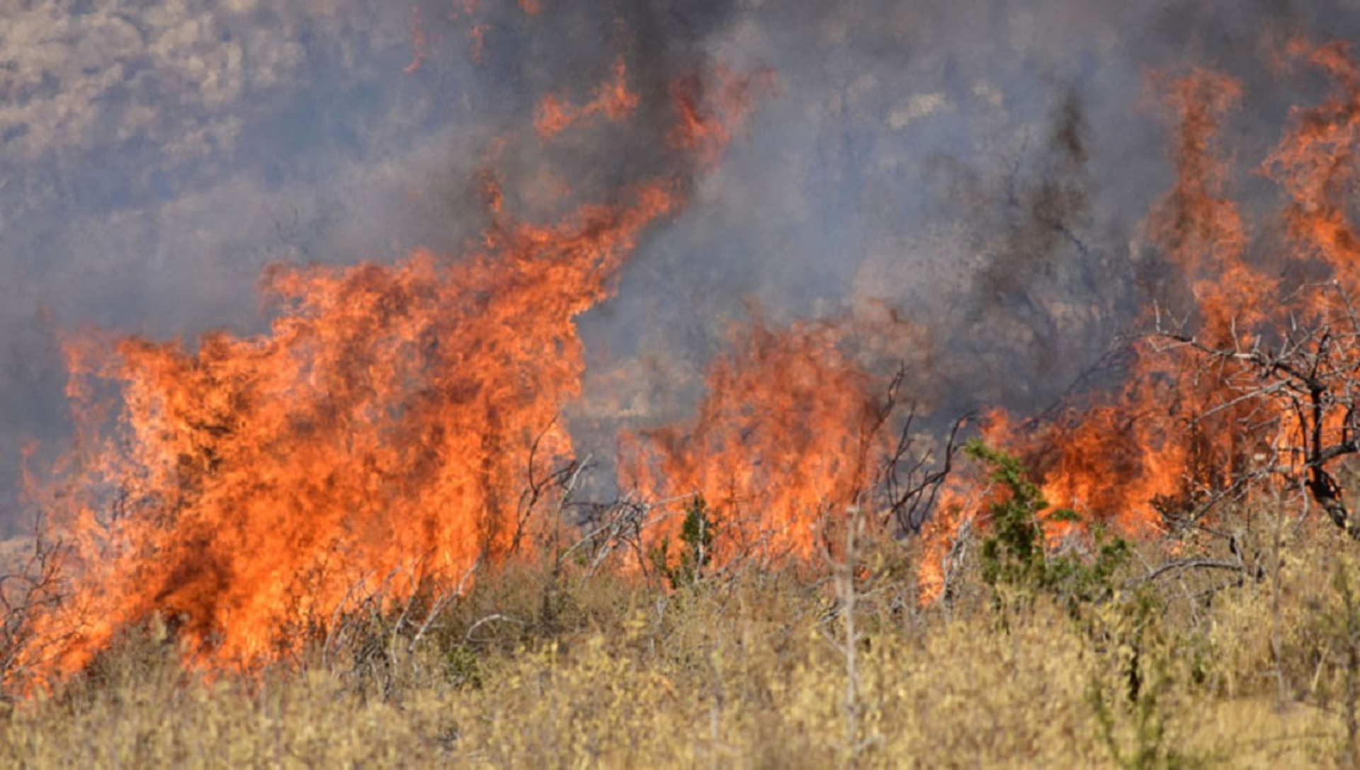 Ξάνθη: σύλληψη άνδρα για 11 πυρκαγιές