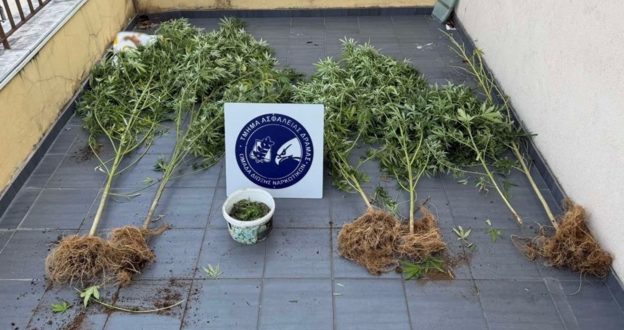 Μέσα σε μία εβδομάδα 11 συλλήψεις σε όλη την ΑΜΘ για διακίνηση ναρκωτικών Μέσα σε μία εβδομάδα 11 συλλήψεις σε όλη την ΑΜΘ για διακίνηση ναρκωτικών