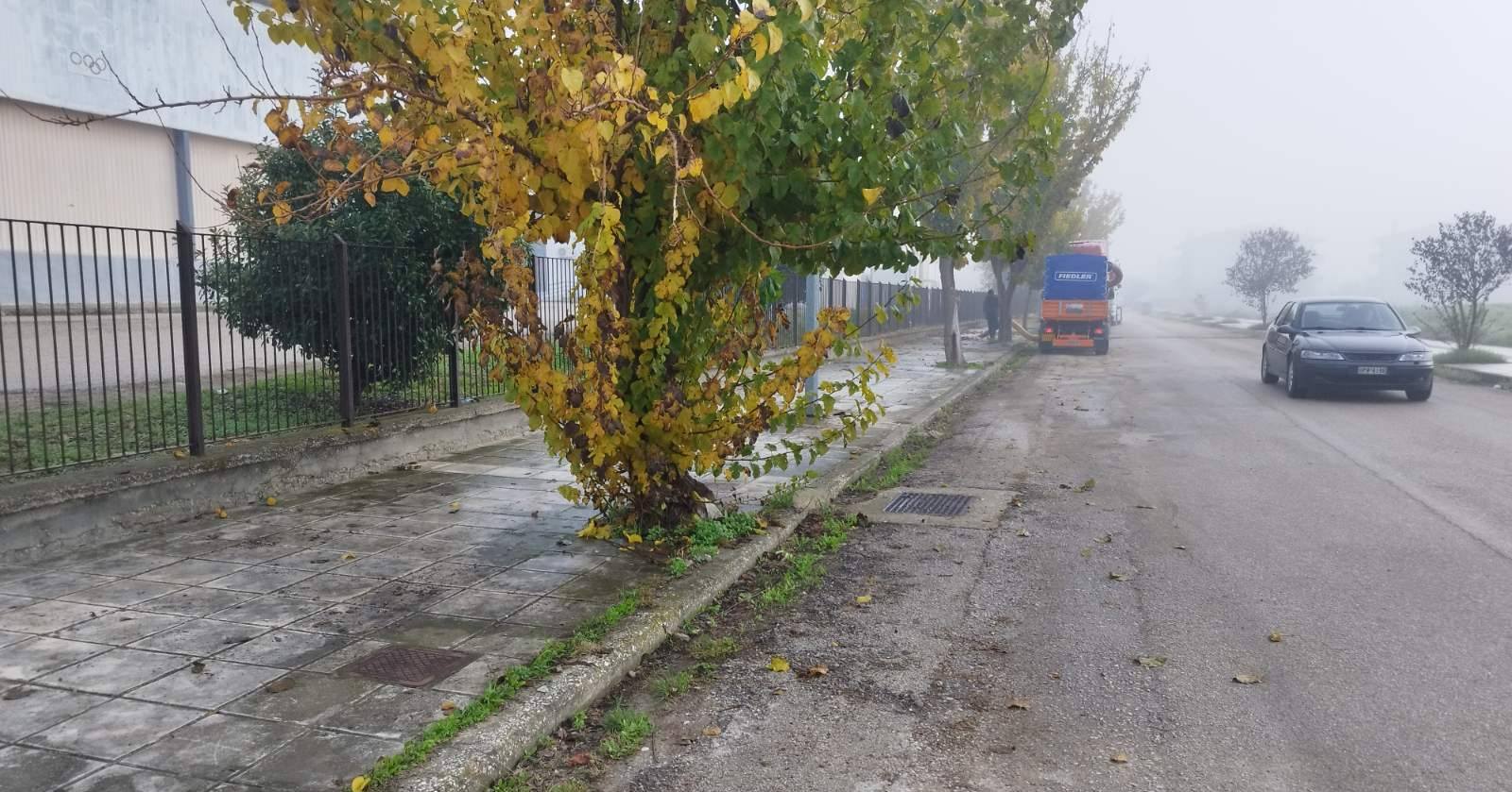 Ορεστιάδα: καθαρισμός κοινόχρηστων χώρων και πεζοδρομίων Ορεστιάδα: καθαρισμός κοινόχρηστων χώρων και πεζοδρομίων