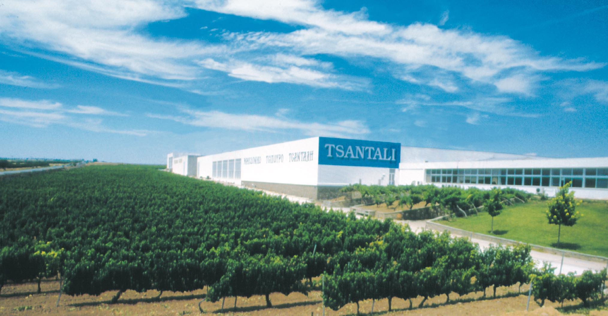 Τσάνταλης: σε πτώχευση και επισήμως η ιστορική οινοποιία που διαθέτει αμπελώνες και στη Μαρώνεια Θράκης Τσάνταλης: σε πτώχευση και επισήμως η ιστορική οινοποιία που διαθέτει αμπελώνες και στη Μαρώνεια Θράκης