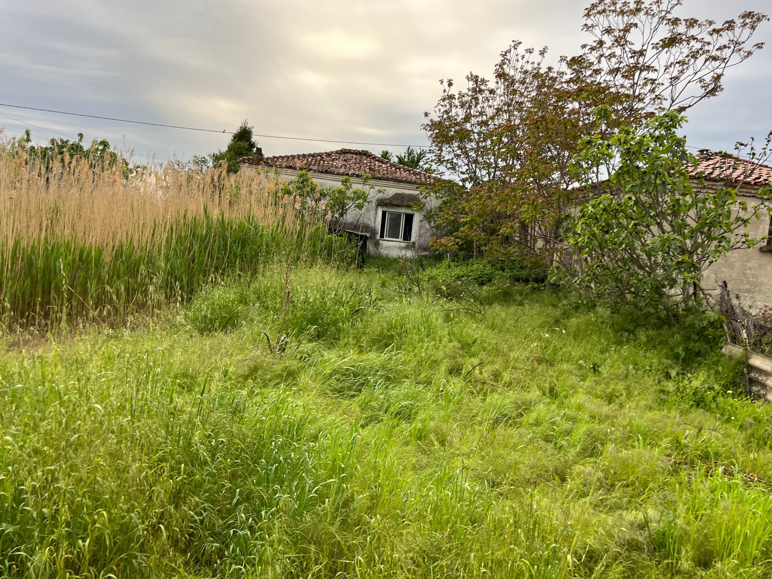Δήμος Κομοτηνής: υποχρεωτικός ο καθαρισμός οικοπέδων από τους ιδιοκτήτες τους από την πρώτη Μαΐου Δήμος Κομοτηνής: υποχρεωτικός ο καθαρισμός οικοπέδων από τους ιδιοκτήτες τους από την πρώτη Μαΐου