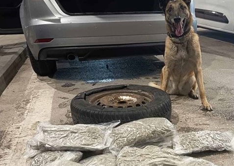 Έβρος: η «Laika» «ξετρύπωσε» 4,3 κιλά κάνναβης σε πορτ μπαγκάζ στους Κήπους Έβρος: η «Laika» «ξετρύπωσε» 4,3 κιλά κάνναβης σε πορτ μπαγκάζ στους Κήπους