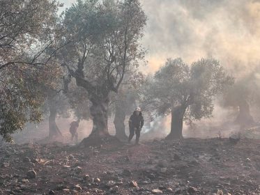 Οριοθετήθηκε η πυρκαγιά στον Ξηροπόταμο Σαμοθράκης –  έκκληση για λελογισμένη κατανάλωση νερού (φωτογραφίες)