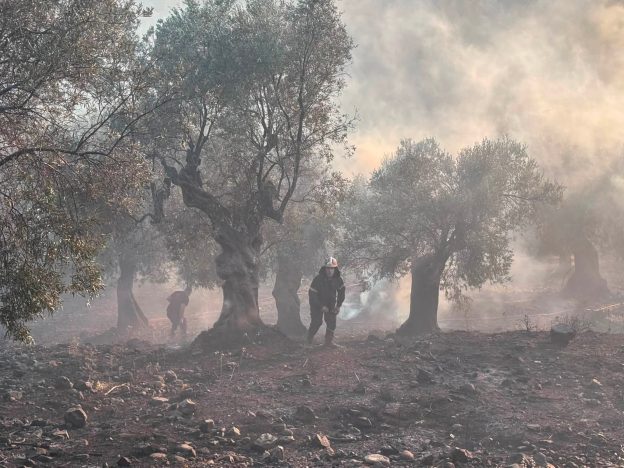 Οριοθετήθηκε η πυρκαγιά στον Ξηροπόταμο Σαμοθράκης – έκκληση για λελογισμένη κατανάλωση νερού (φωτογραφίες) Οριοθετήθηκε η πυρκαγιά στον Ξηροπόταμο Σαμοθράκης – έκκληση για λελογισμένη κατανάλωση νερού (φωτογραφίες)